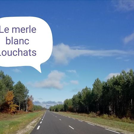 Le Merle Blanc Louchats Hotel Kültér fotó
