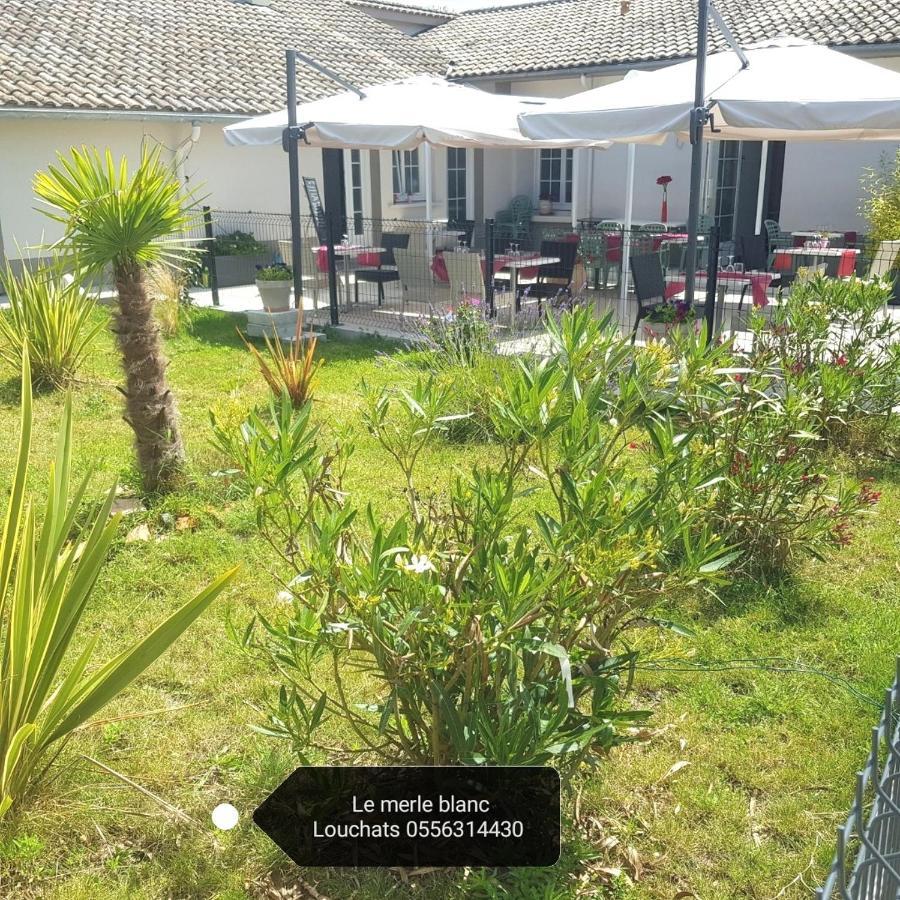 Le Merle Blanc Louchats Hotel Kültér fotó