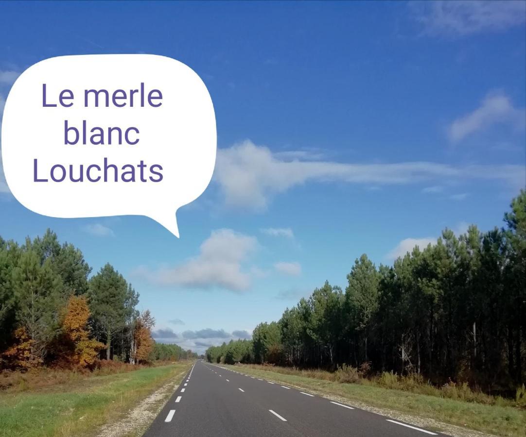 Le Merle Blanc Louchats Hotel Kültér fotó