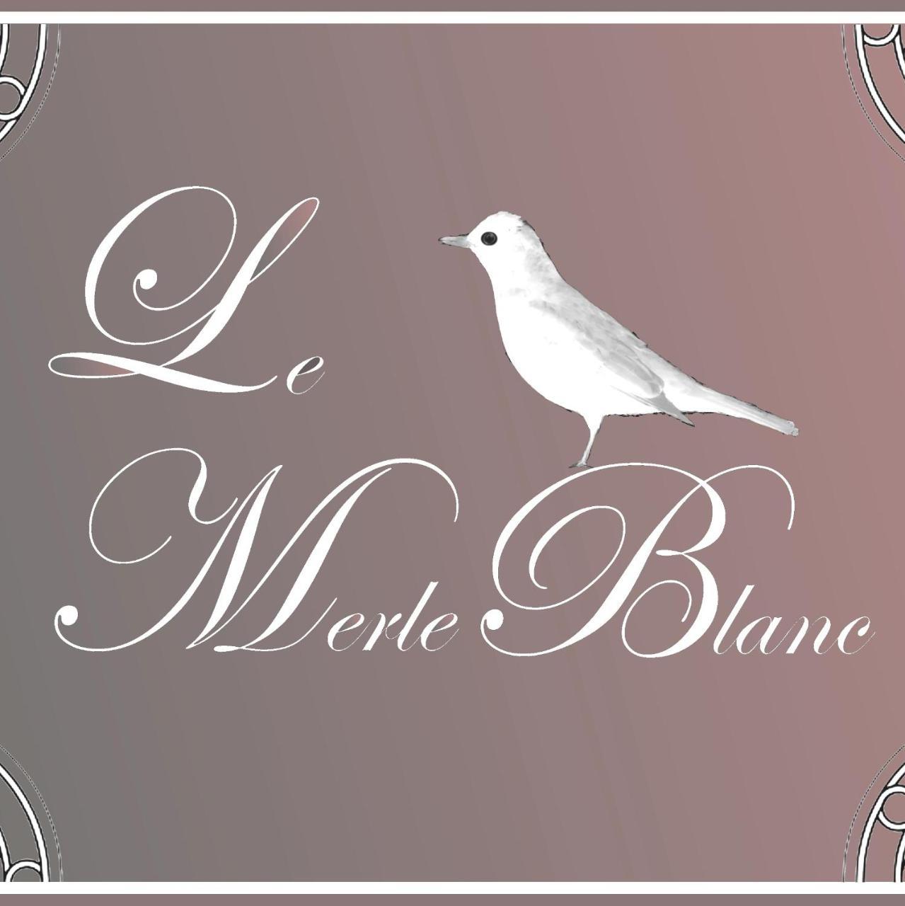 Le Merle Blanc Louchats Hotel Kültér fotó